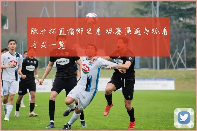 欧洲杯直播哪里看 观赛渠道与观看方式一览